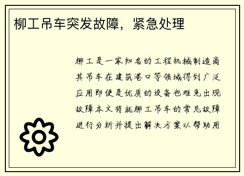 柳工吊车突发故障,紧急处理 柳工吊车突发故障,紧急处理