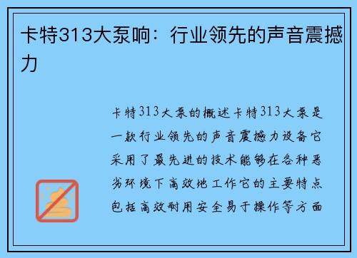 卡特313大泵响:行业领先的声音震撼力 卡特313大泵响:行业领先的声音震撼力