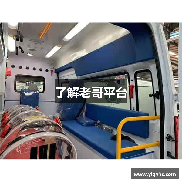 了解老哥平台